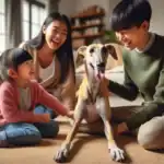 Greyhound Dog suitability as a Pet